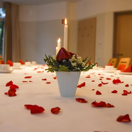 Petul An Der Zeche Essen